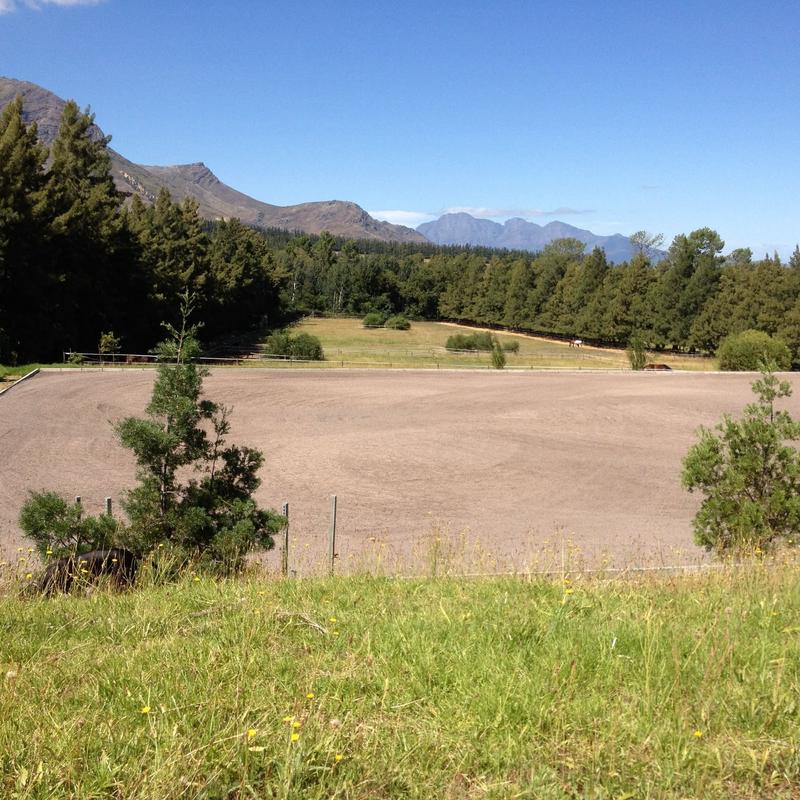 12 Bedroom Property for Sale in Paarl Western Cape